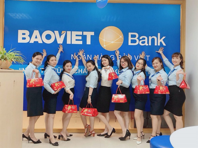 Bảo Việt Bank là một ngân hàng tư nhân