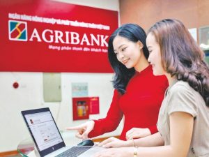 Giới thiệu khái quát về ngân hàng Nông nghiệp và Phát triển Nông thôn Agribank
